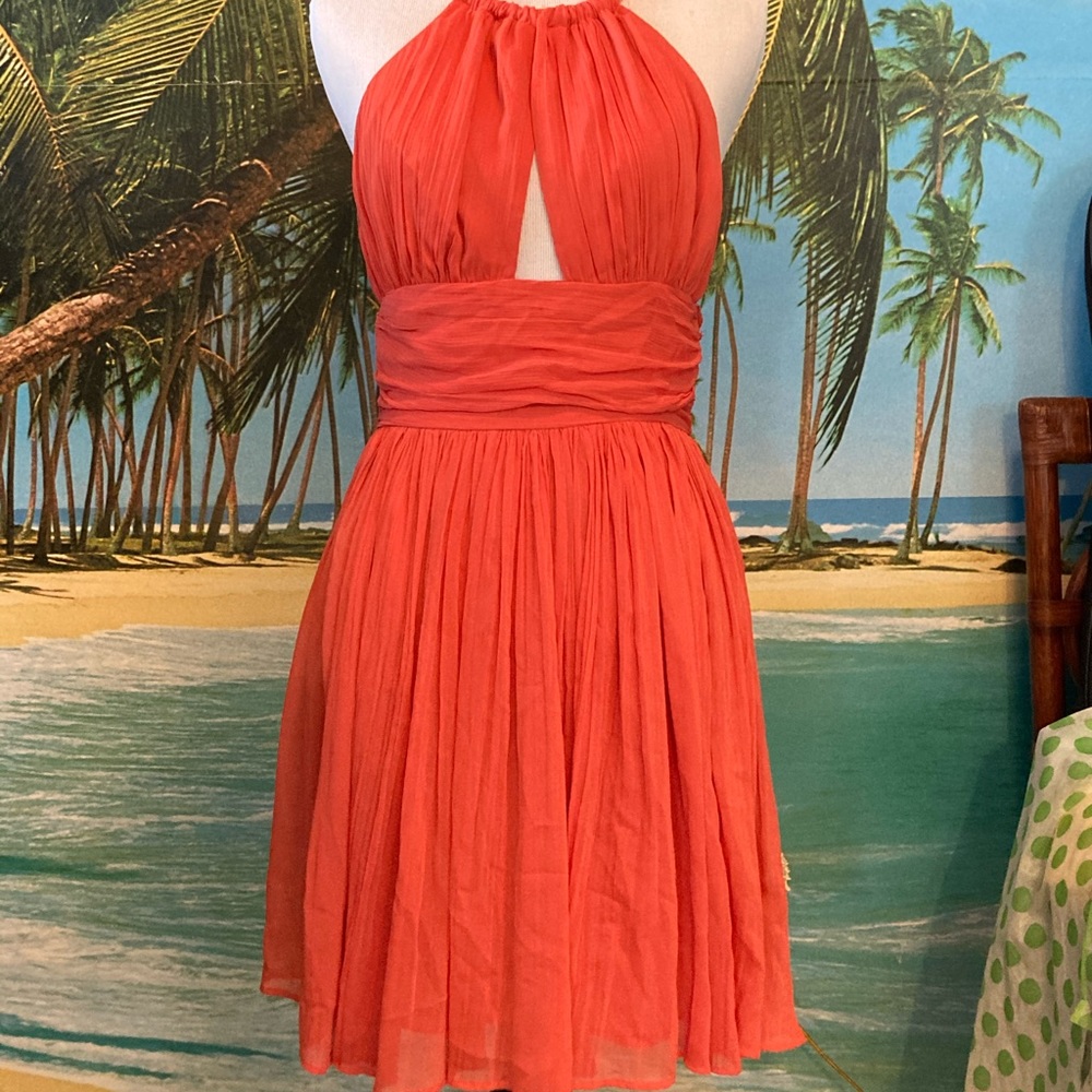 BB Dakota dress size 2